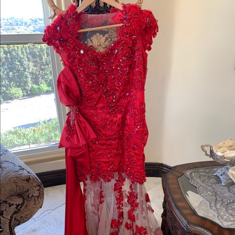 Long Red and Sheer Dress